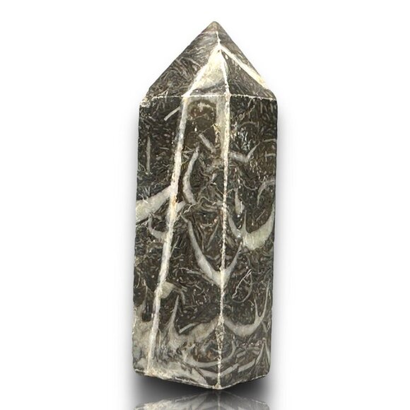 Shell Jasper Tower Black White Serenity Stability Protection 68g NWOT Cleansed - Picture 5 of 12